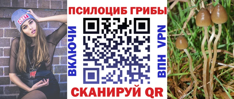 Галлюциногенные грибы Magic Shrooms  Карабаш 